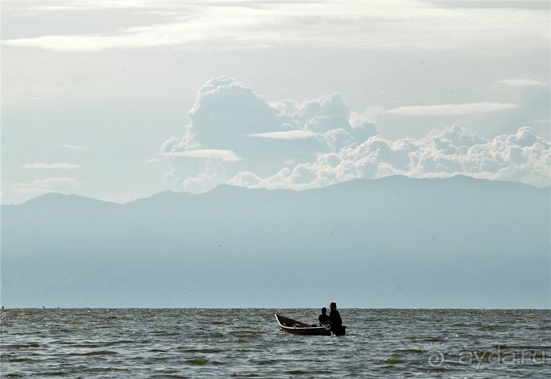 Сафари в Уганде