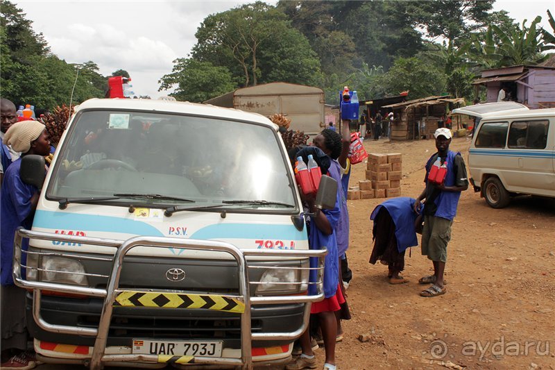 Сафари в Уганде