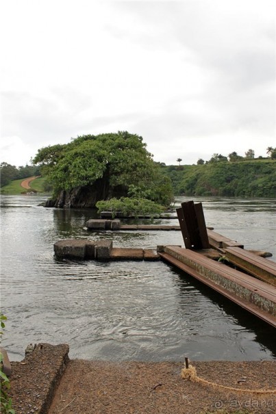 Сафари в Уганде