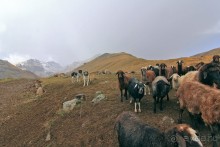 Горная Армения. Восхождение на Арагац