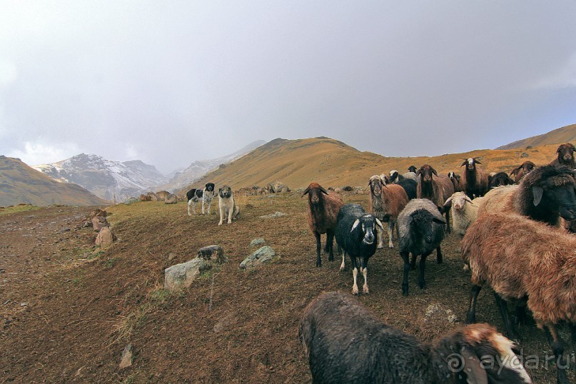 Горная Армения. Восхождение на Арагац