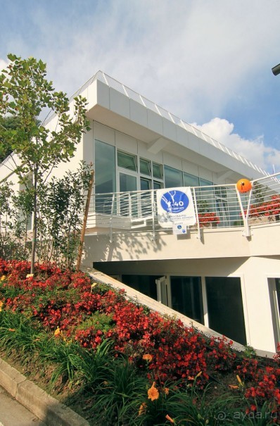 Необычные бассейны мира