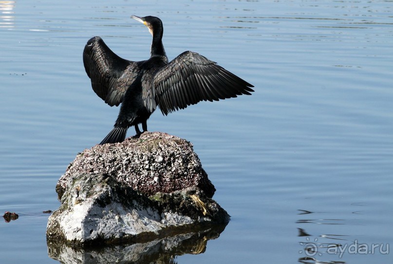 По дорогам Эфиопии