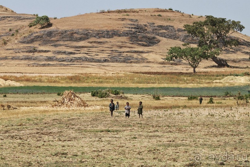 По дорогам Эфиопии