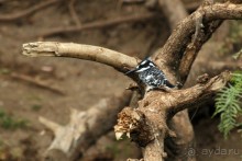 По дорогам Эфиопии