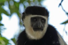 По дорогам Эфиопии