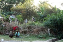 По дорогам Эфиопии