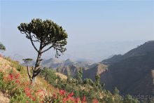 По дорогам Эфиопии