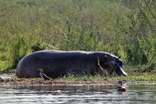 По дорогам Эфиопии