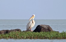 По дорогам Эфиопии
