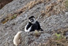 По дорогам Эфиопии