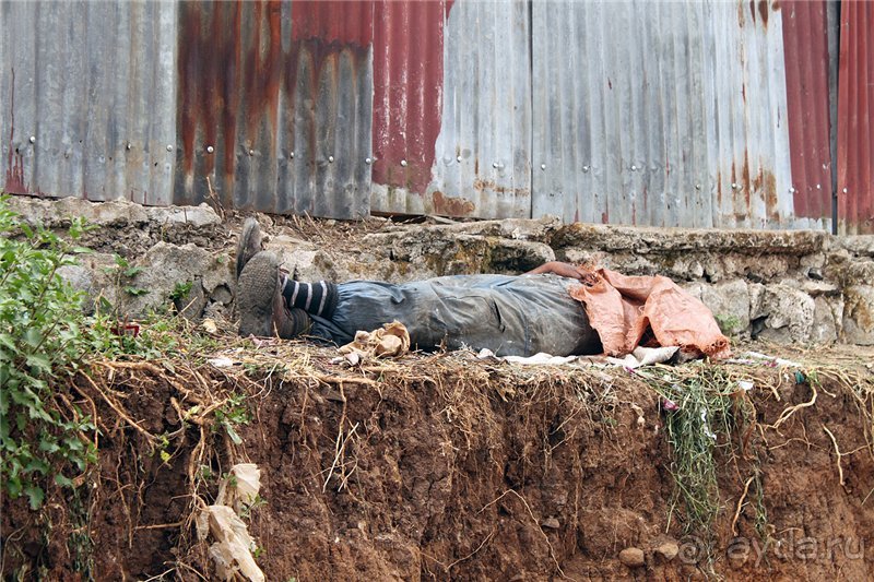 По дорогам Эфиопии