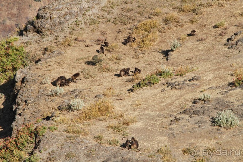 По дорогам Эфиопии