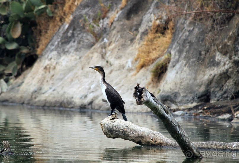 По дорогам Эфиопии