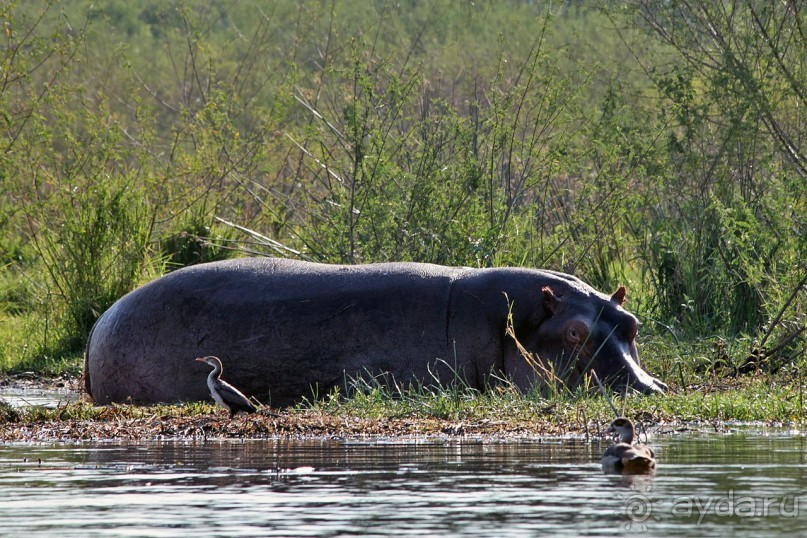 По дорогам Эфиопии