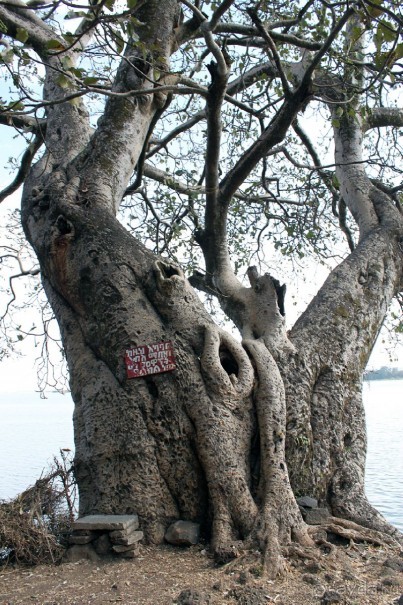 По дорогам Эфиопии