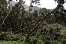 Там, где рождается Луна