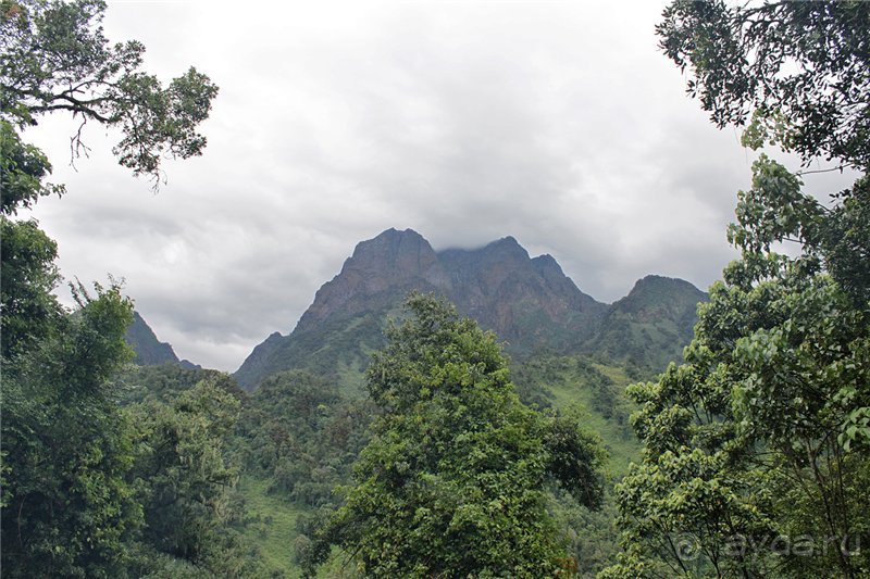 Там, где рождается Луна