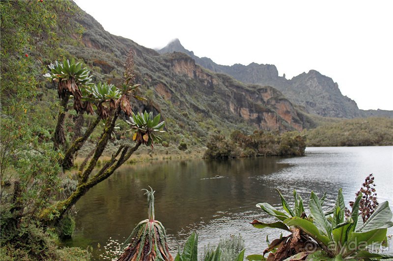 Там, где рождается Луна