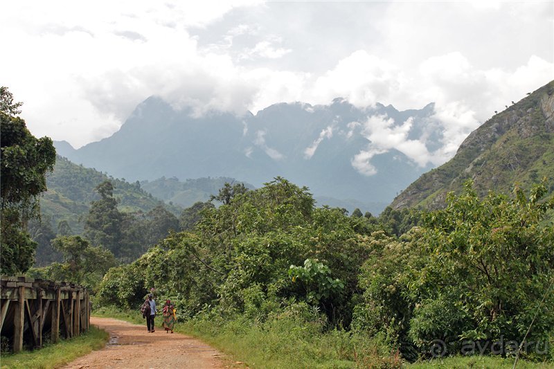 Там, где рождается Луна