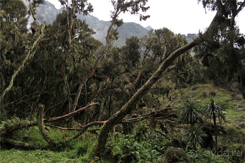 Там, где рождается Луна