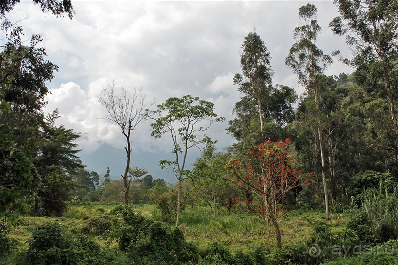 Там, где рождается Луна