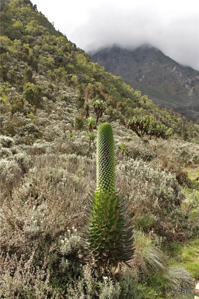 Там, где рождается Луна