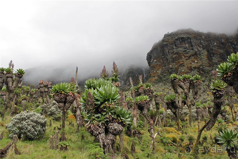 Там, где рождается Луна