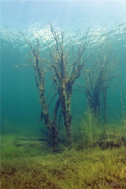 Подводная тюрьма