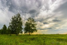 В погоне за русским пеликаном