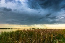 В погоне за русским пеликаном
