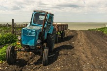 В погоне за русским пеликаном