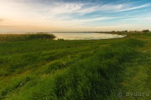 В погоне за русским пеликаном
