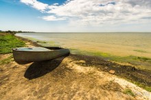 В погоне за русским пеликаном