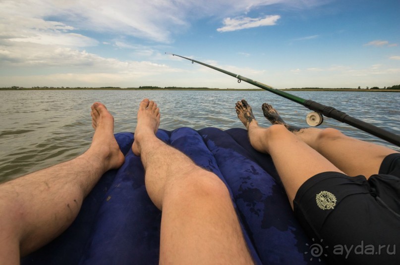 В погоне за русским пеликаном