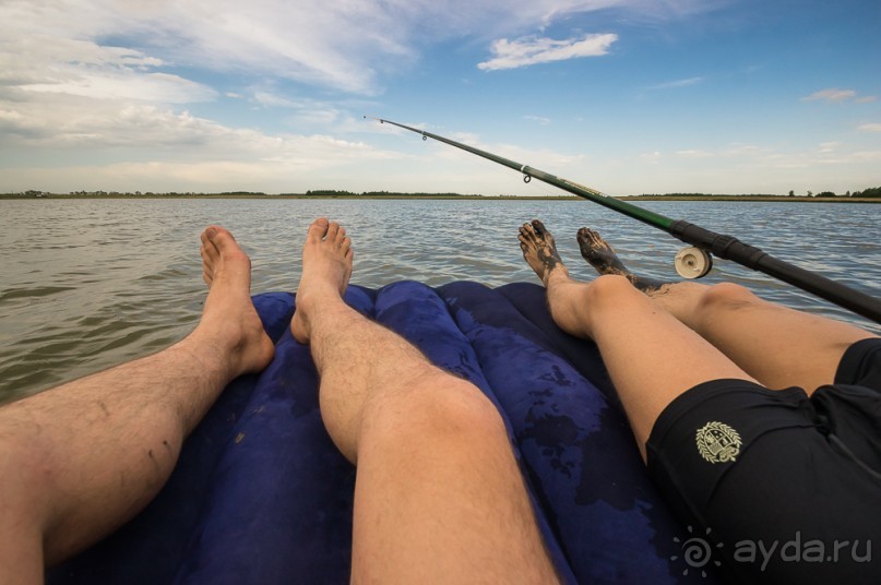 В погоне за русским пеликаном
