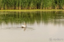 Русская дорога