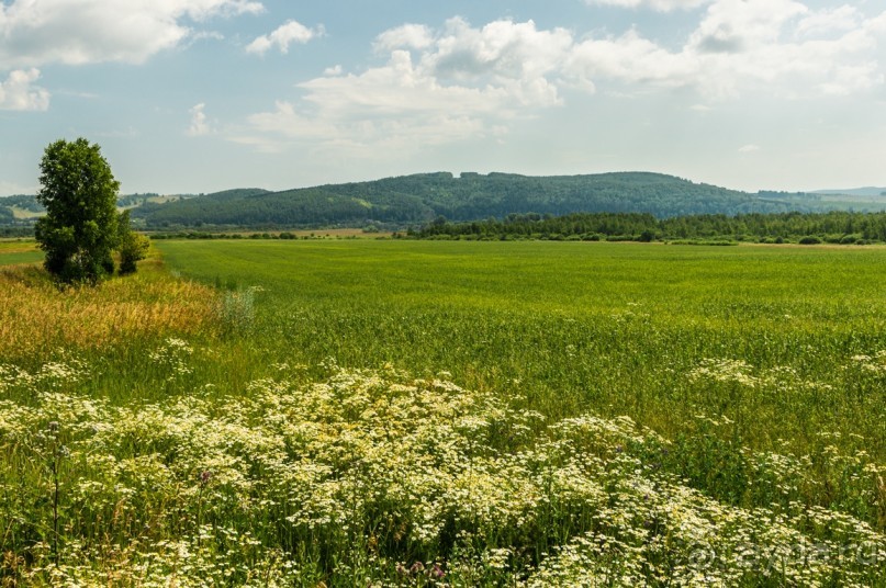 Русская дорога