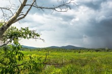 Русская дорога