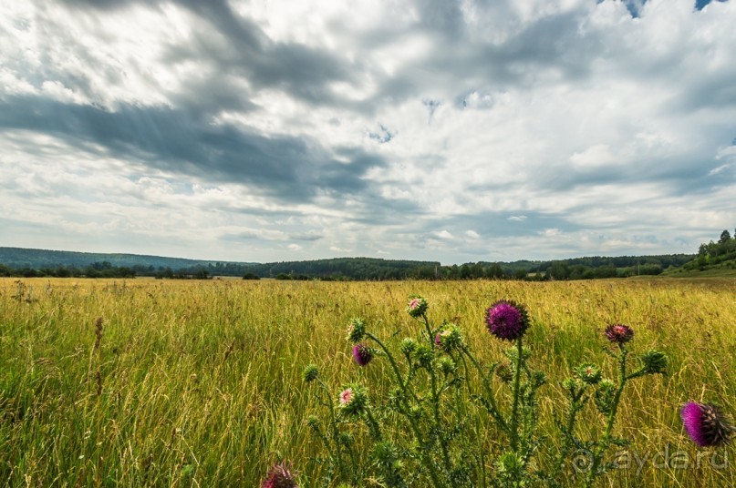 Русская дорога
