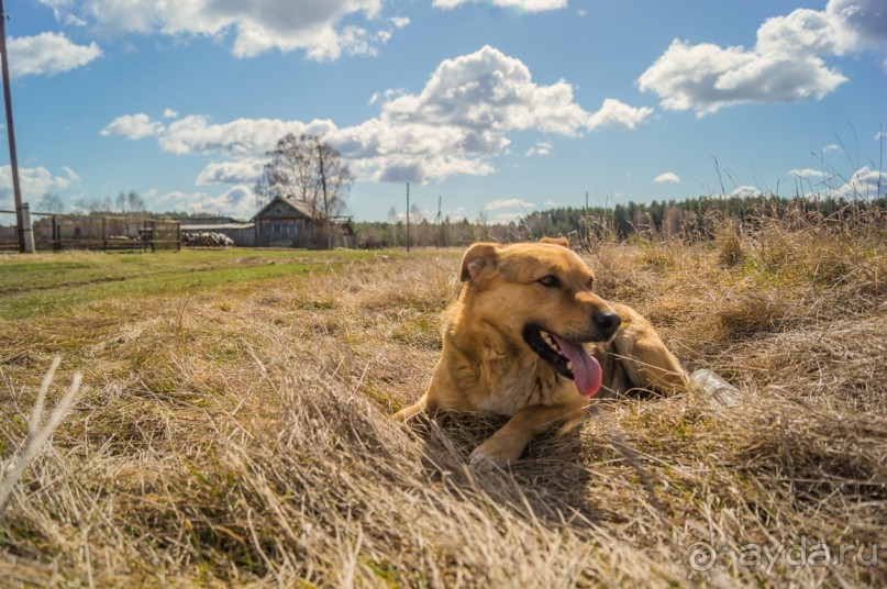 Русская дорога