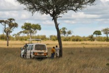 Три национальных парка Кении, чтобы увидеть настоящую Африку.