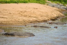 Три национальных парка Кении, чтобы увидеть настоящую Африку.