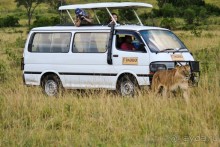 Три национальных парка Кении, чтобы увидеть настоящую Африку.