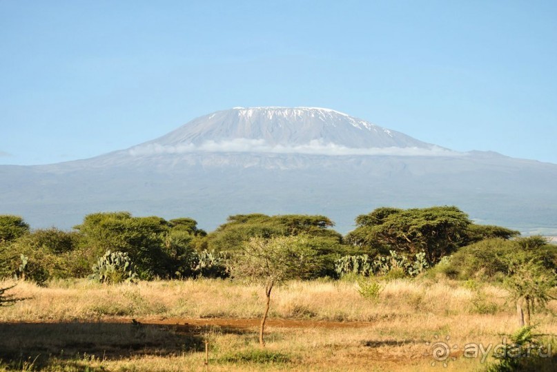 Три национальных парка Кении, чтобы увидеть настоящую Африку.