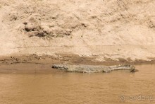 Три национальных парка Кении, чтобы увидеть настоящую Африку.