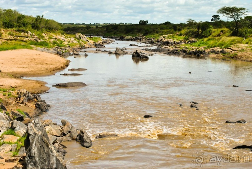 Три национальных парка Кении, чтобы увидеть настоящую Африку.