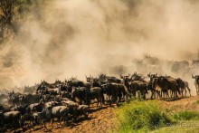 Три национальных парка Кении, чтобы увидеть настоящую Африку.