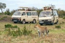 Зоопарк без клеток - Африка