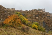 Альбом отзыва "Зоопарк без клеток - Африка"